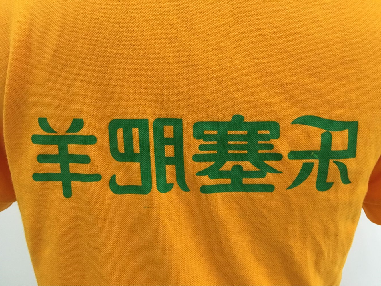 乐塞肥羊(图2)